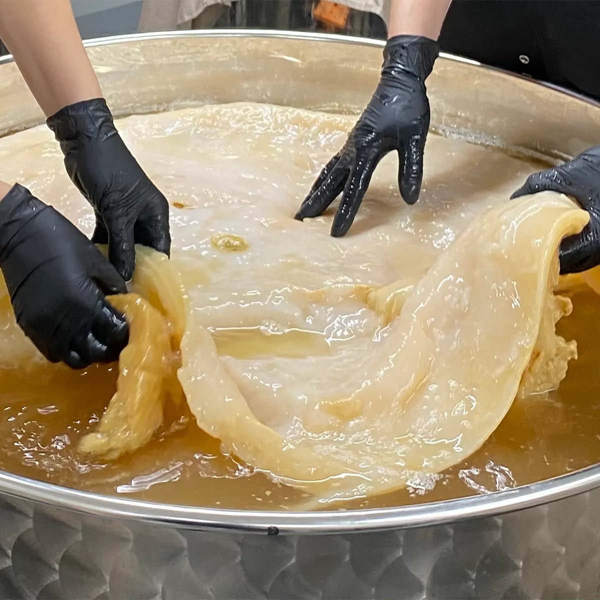 The Kombucha Process The Kombucha Process