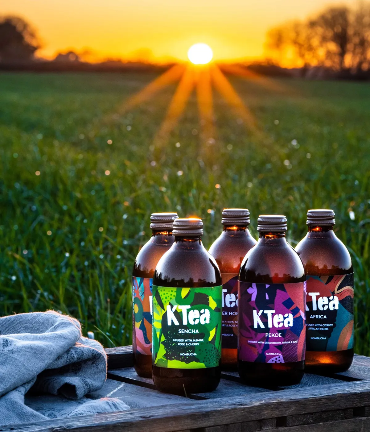Kombucha Offer