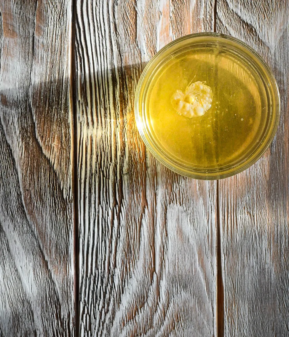 Dead or Alive the Kombucha Edition