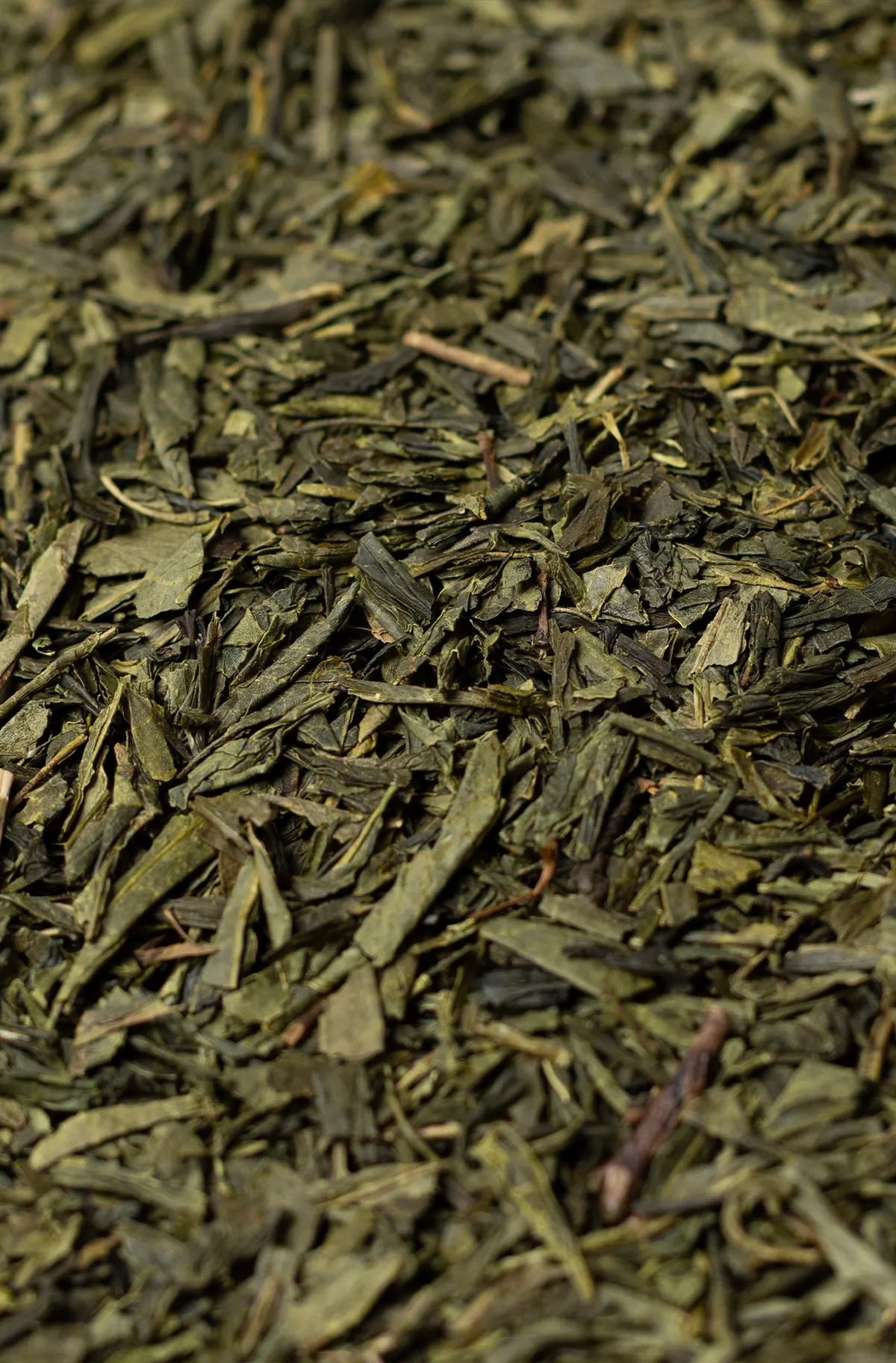 Kombucha Green Tea